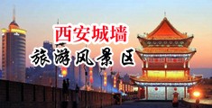 3级欧美大黑吊破处中国陕西-西安城墙旅游风景区